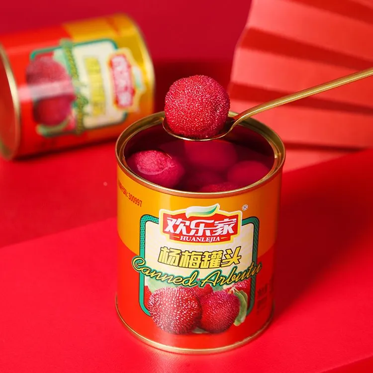 欢乐家杨梅罐头罐新鲜糖水杨梅罐头水果整箱批发