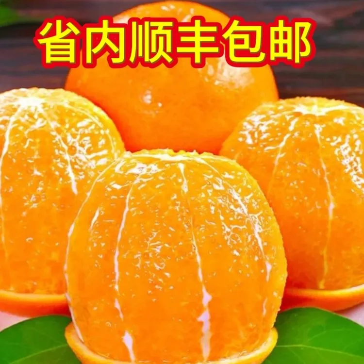 赣南脐橙树上自然熟现摘新鲜应季水果产地清甜多汁无仔