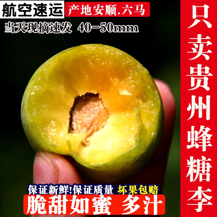 贵州安顺六马蜂糖李新鲜应季水果甘甜多汁肉厚爽口现摘现发货