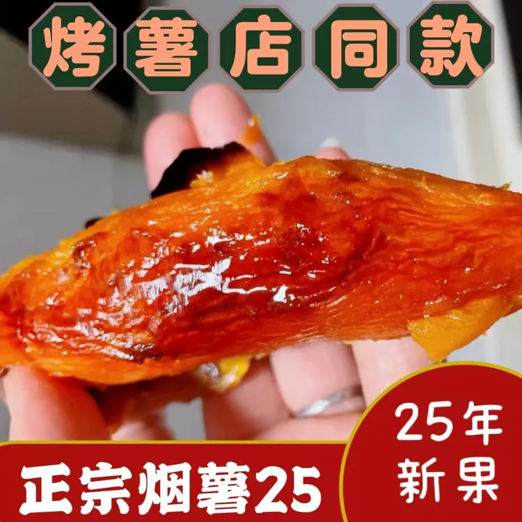 烟薯25号蜜薯糖心红薯新鲜地瓜现挖沙地番薯山芋农科院红薯5斤 