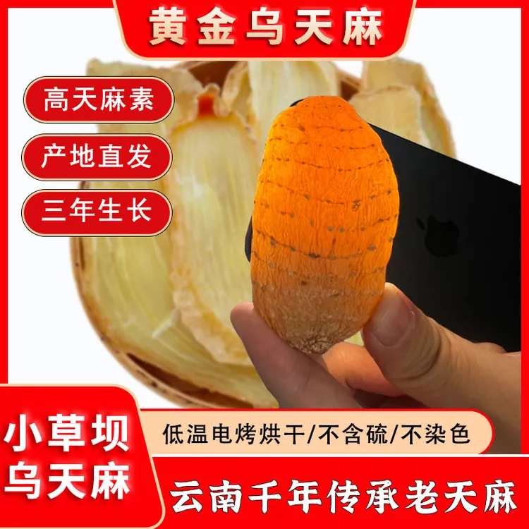 【玲子专属】正宗云南昭通乌天麻小草坝高山三年生长乌天麻正宗
