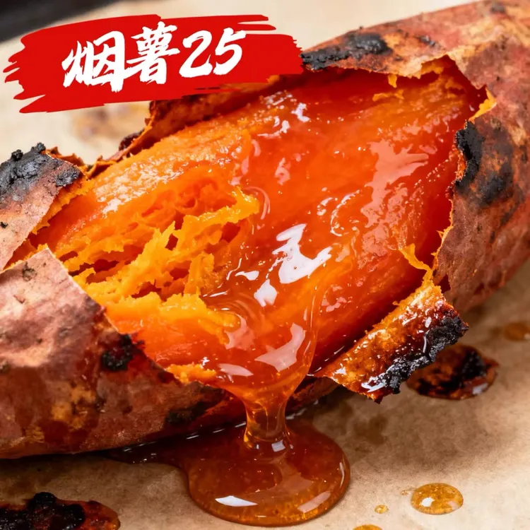 山东烟薯25号2025新鲜糖心蜜薯山芋番薯地瓜沙土地种植新鲜5斤