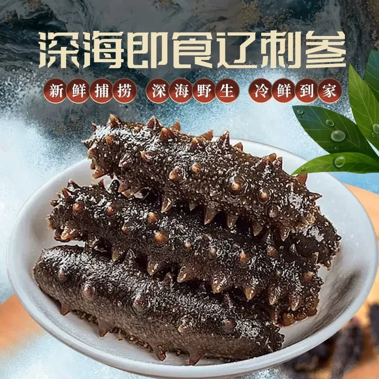 即食海参15-18头大连海参辽宁刺参即食海参真空包装孕妇滋养品