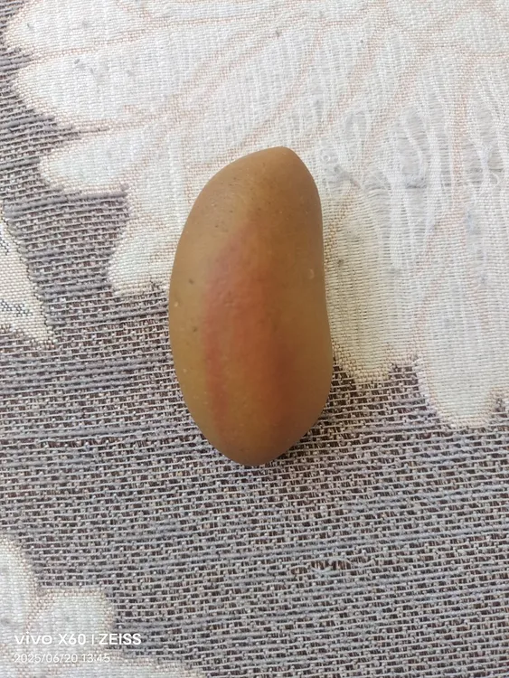 沙漠漆手把件。型好，色好，完整无伤无裂。