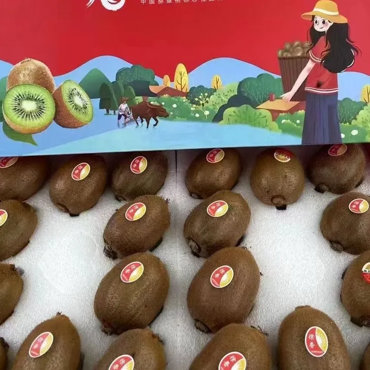 【礼盒买10送1箱】正宗眉县徐香猕猴桃新鲜迷你猕猴桃陕西猕猴桃