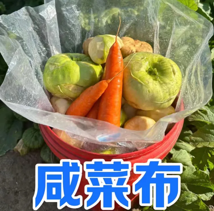 咸菜布【拍一发二】加厚腌菜冬储加厚收纳袋