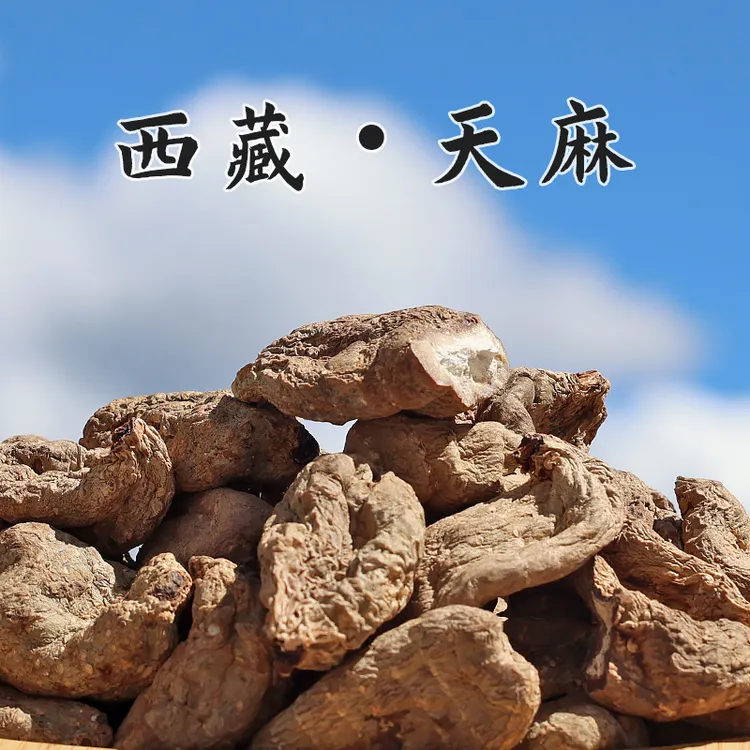 西藏发货天麻250g炖汤煮水味道浓郁阳光晾晒