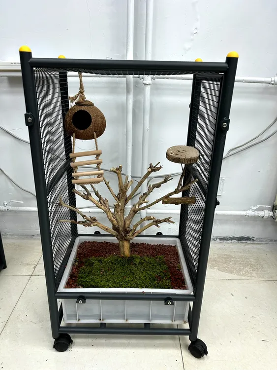 高85长46宽35生态鸟笼