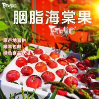 夏天的果园新疆胭脂海棠果绿色食品认证脆嫩酸甜 汁水丰盈礼盒装