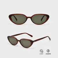 KOKO WANG秋冬复古防蓝光凹造型显脸小百搭太阳镜 N7225I03S41