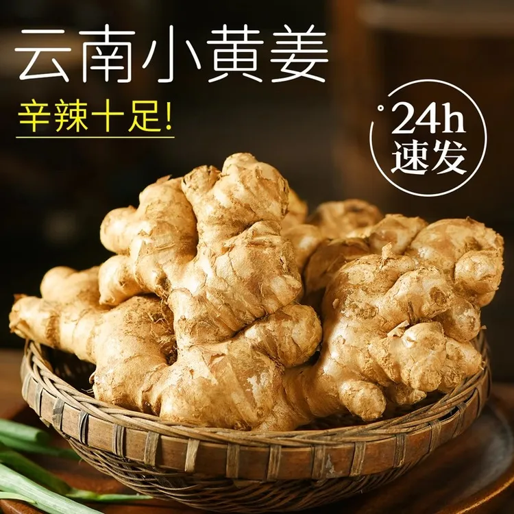 【品质精选】云南源产小黄姜新鲜现挖小黄姜新姜可腌制泡菜泡姜