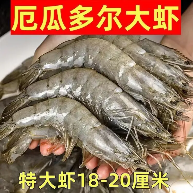 厄瓜多尔海水大虾速冻锁鲜鲜美可口海鲜水产新鲜虾仁独立小包装