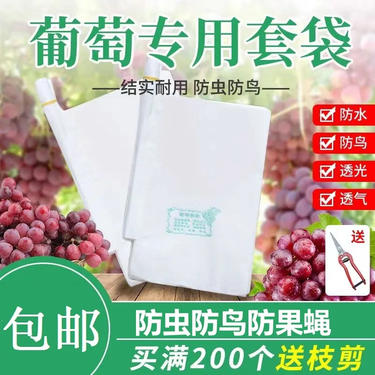 白色全木浆葡萄套袋葡萄袋葡萄果袋防虫袋防水防虫鸟带铁丝气孔