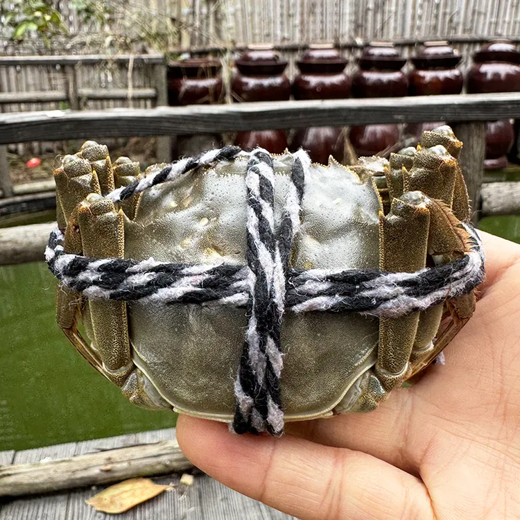 【活蟹】焦岗湖大闸蟹 公3.6-3.3两 母2.6-2.3两 共10只 精品蟹礼盒