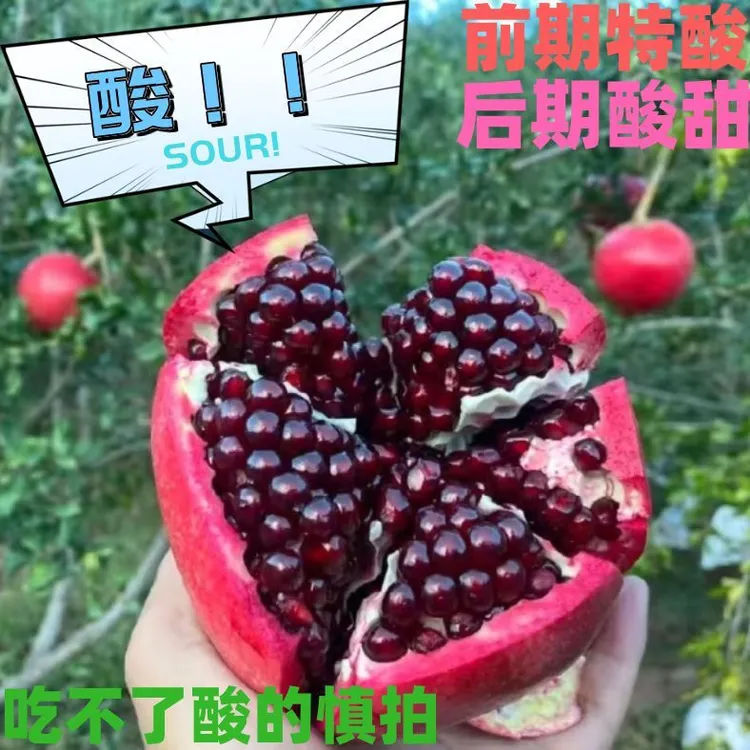 【新鲜现摘】正宗云南酸石榴产地直发红心新鲜水果当季整箱现货
