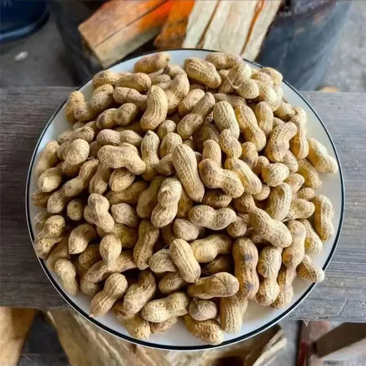 柴火铁锅现炒原味带壳小珍珠花生