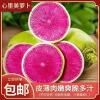 新鲜绿皮花心萝卜生吃爽口萝卜心里美花心萝卜