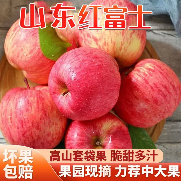 【中国供销】山东烟台栖霞红富士 产地直发