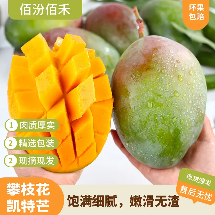 【生果发货 放软食用】四川攀枝花凯特芒带箱五斤装 新鲜芒果