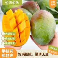 【佰汾优选】四川高山攀枝花凯特芒带箱5斤装 热带芒果 多仓发货 S