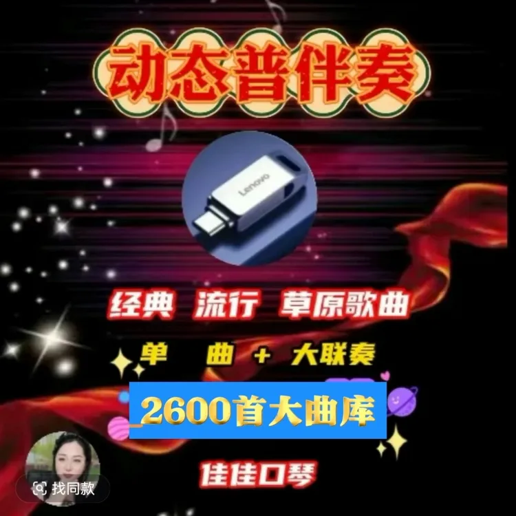 动态谱伴奏大容量type-c-USB双接口高速通用《不支持退货》