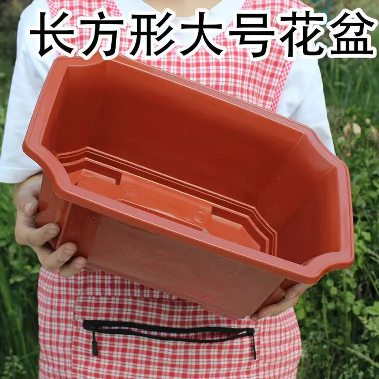 【大号马槽盆】J长方形花盆塑料盆景四方形花盆种花种菜加厚