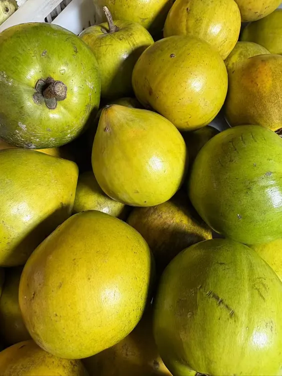 云南特产蛋黄果新鲜采摘当季软糯水果孕妇幼儿辅食