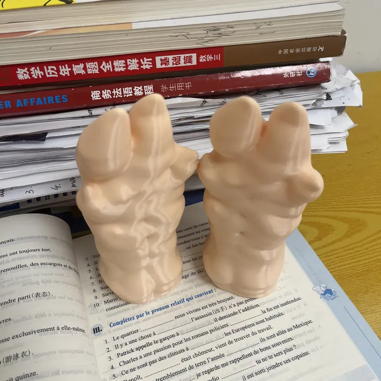【曲奇】猪蹄点读棒3D打印搞怪整蛊玩具抽象假猪蹄