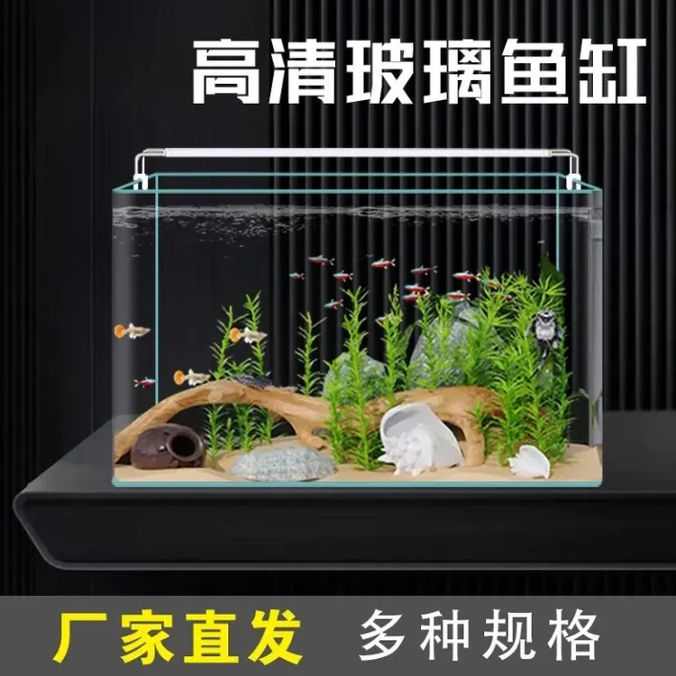 生态草缸小型免换水鱼缸造景全套桌面方形斗鱼金鱼乌龟缸养鱼生态
