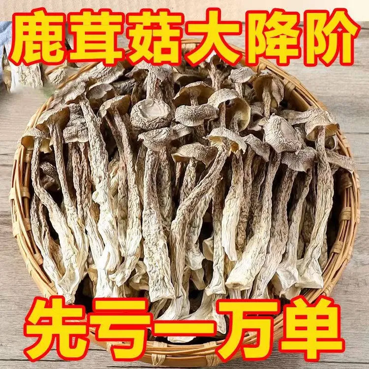 【试吃】鹿茸菇干货1000g新鲜鹿茸菌干锅鹿耳脆菇煲汤食材250g批发 