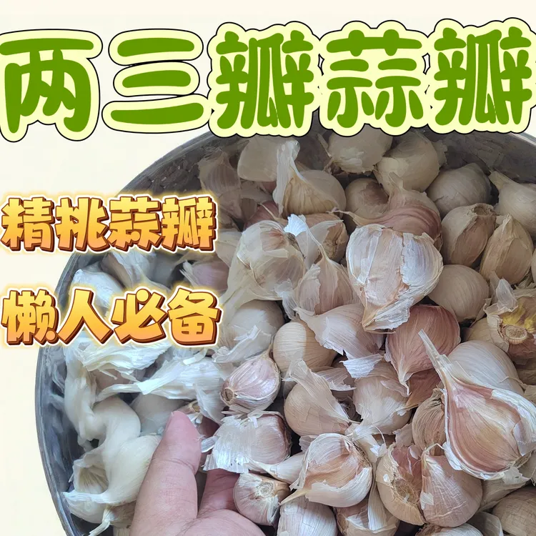 两三瓣蒜瓣 精选大蒜瓣可种植 蒜香味浓