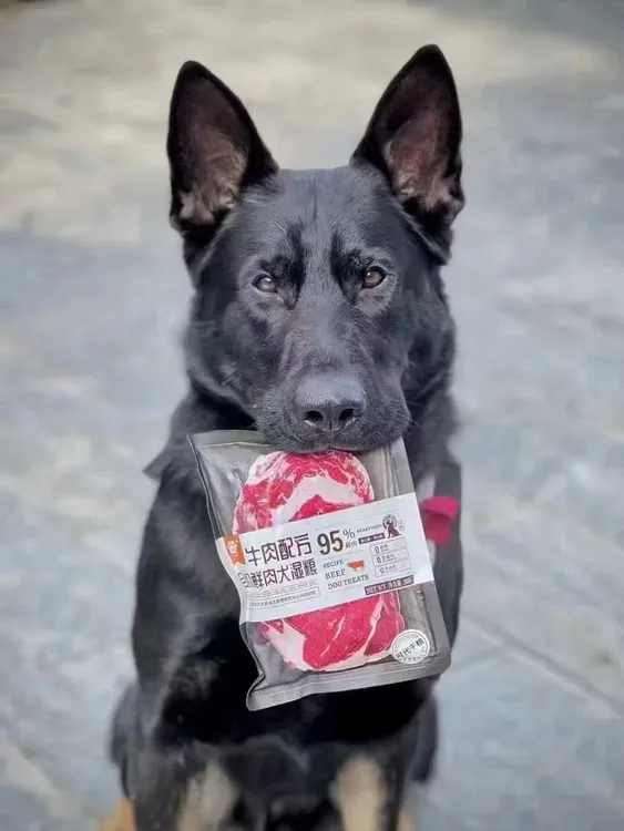 牛肉犬湿粮,全犬期适用,开袋即食,营养开胃易消化宠物主食