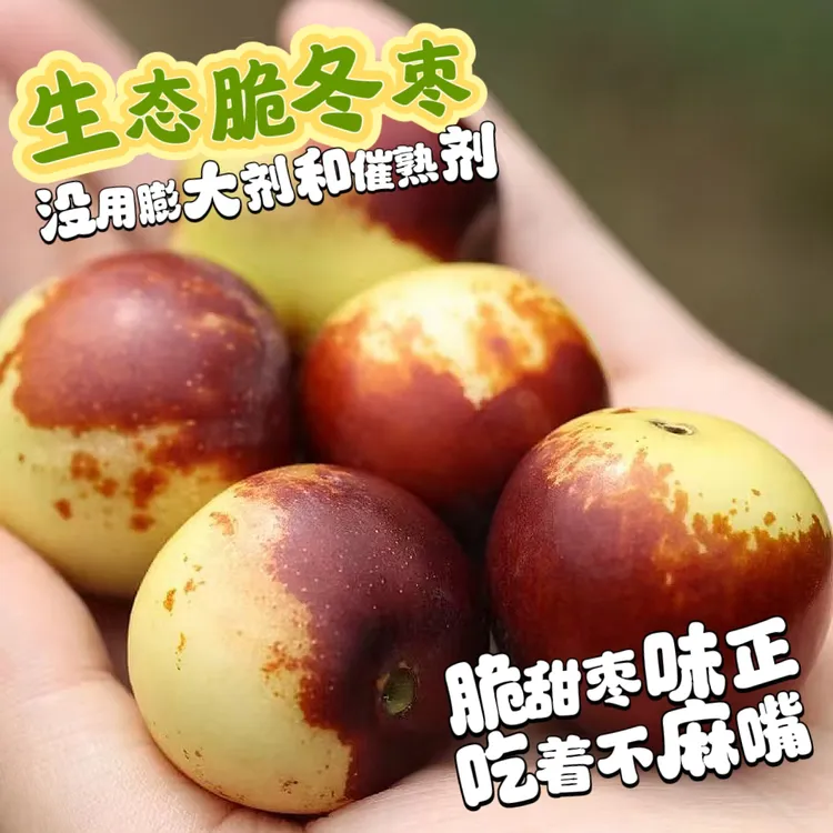 山西小冬枣 0膨大剂 0除草剂 个头小 但枣味 正介意勿拍 3斤顺丰 