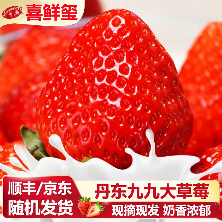 【九九草莓】正宗丹东红颜九九牛奶大草莓顺丰/京东发货