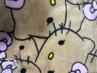 原 kt法兰绒盖毯150*200
