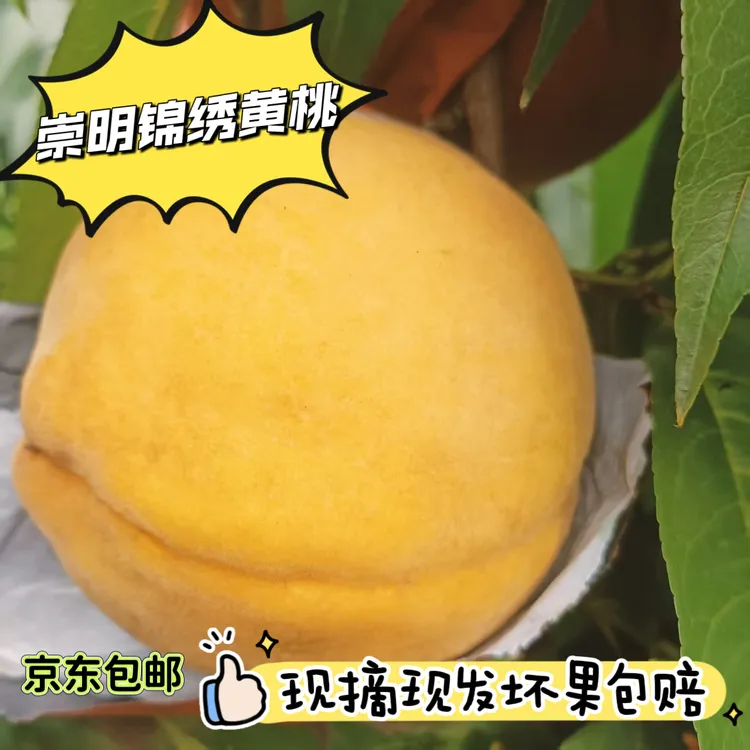 崇明锦绣黄桃应季水果