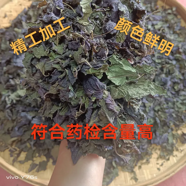 玉林产地货-药食同源紫苏切碎无杆味香可做菜煮鱼泡水喝