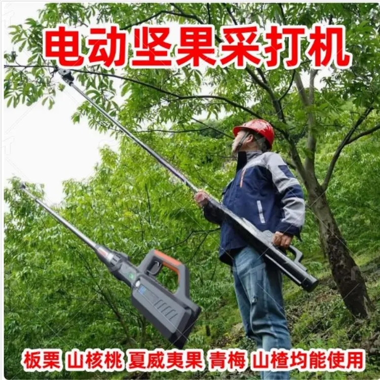 电动坚果采打机打板栗神器打栗子松子碧根果沙棘果杨梅伸缩采摘机