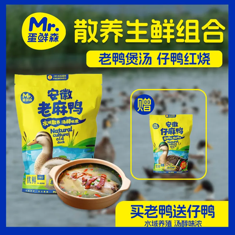 【水域散养土鸭】老麻鸭+仔麻鸭 单只2斤左右 煲汤红烧福利到手2只