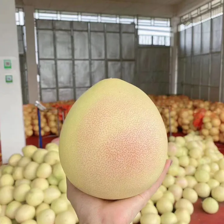 三红柚梅州五华龙村特产新鲜水果皮薄多汁肉厚香甜孕妇小孩都喜欢