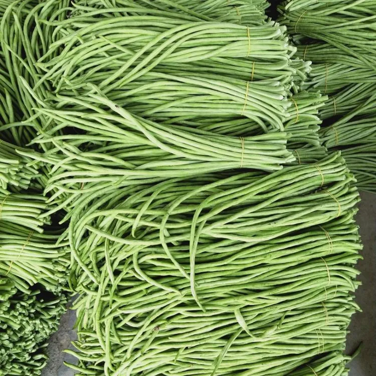 当天现摘长豆角5斤新鲜蔬菜嫩豇豆青豆角可腌制酸豆角湖北农家菜