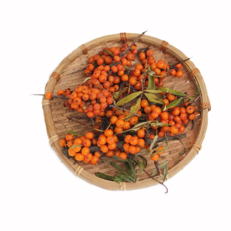 沙棘汁原果 冷冻新鲜沙棘果 新鲜水果小颗粒沙棘 酸果