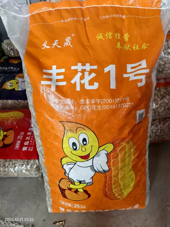 高产高油丰花1号花生种带壳10斤