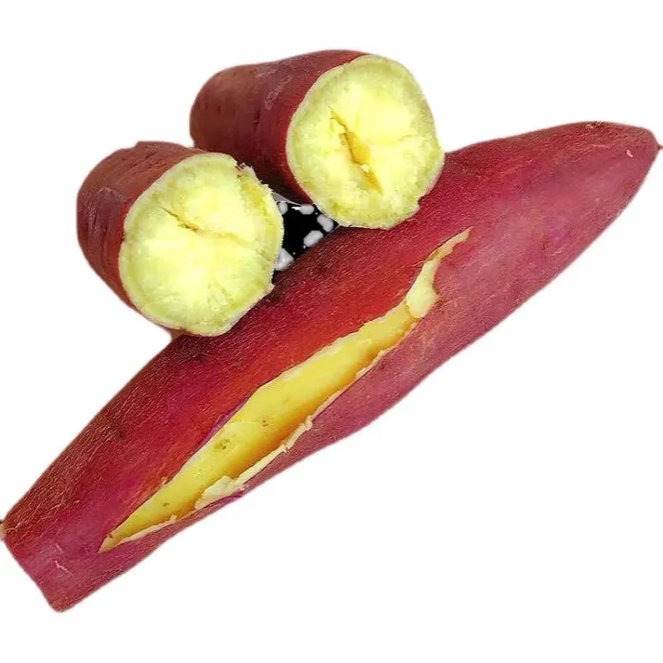 正宗陕西板栗红薯新鲜粉面番薯粗粮代餐地瓜香薯