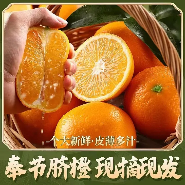 正宗奉节脐橙果园现摘现发新鲜水果无籽无核爆甜多汁