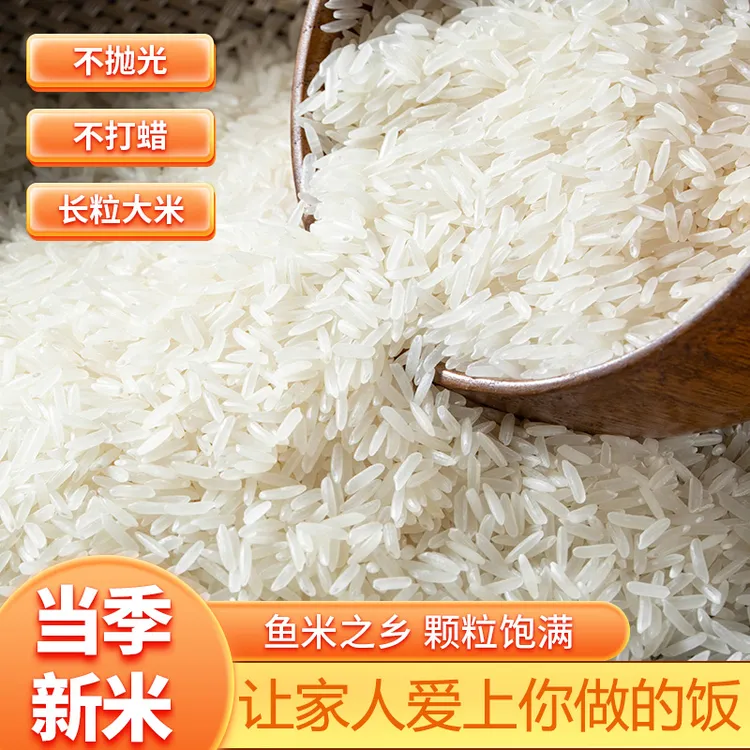 长粒香新米清香软糯适合煮饭煲仔饭日常家用10斤