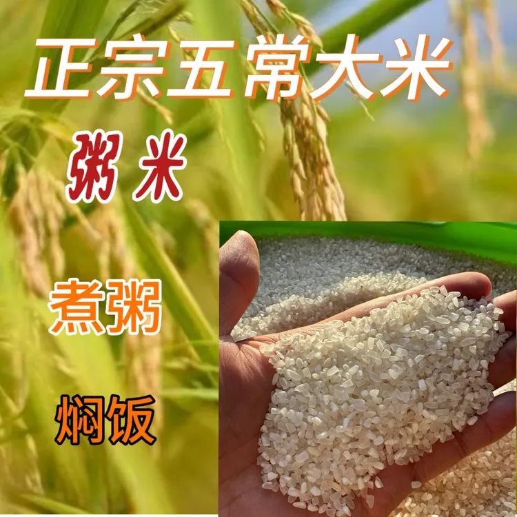 粥米2025年新磨东北五常碎米当季新米散装碎米煮粥煮饭软糯香甜