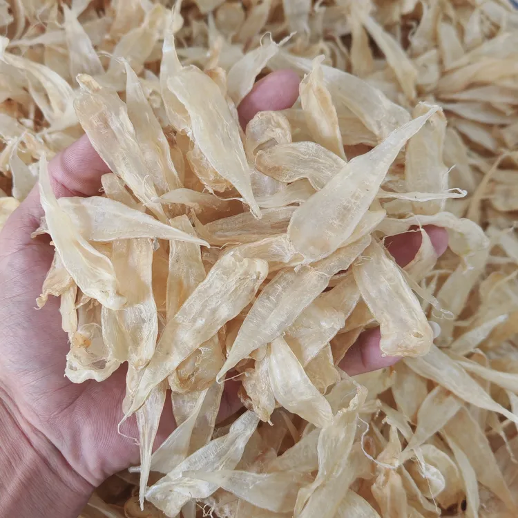 豆仁胶胶质好营养滋补炖汤佳品东海鳘胶