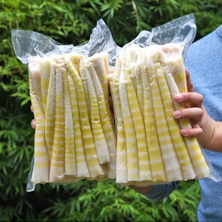 云南高山新鲜天然大竹笋小野笋火锅笋尖竹笋秋竹笋冷链包邮