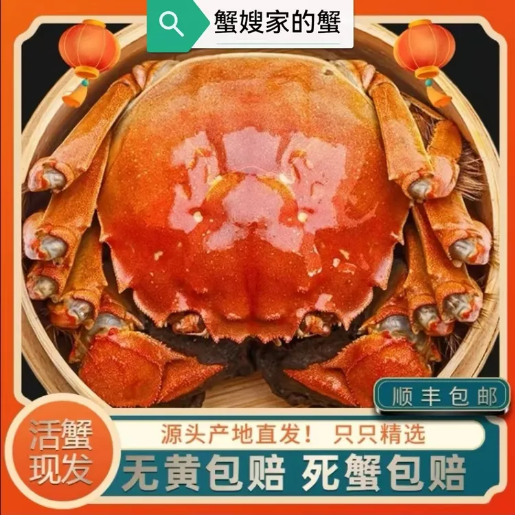 【金标活蟹】全母8只10只装（2.6-2.2两）洪泽湖大闸蟹礼盒顺丰邮
